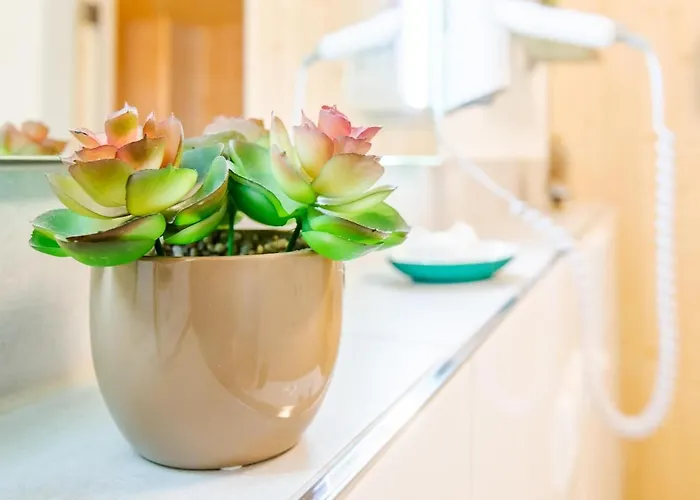 Im Sonnengarten Erholungsoase *